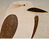 Kookaburra, 2024 by Dean Bowen